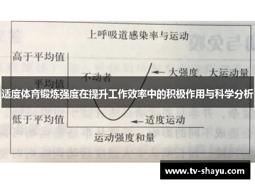 适度体育锻炼强度在提升工作效率中的积极作用与科学分析